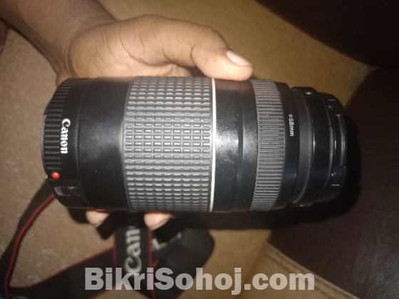 Canon 75-300 zoom lense (exchange possible with prime lense)